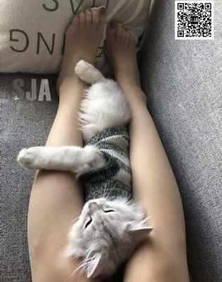 如龙1_BD英语免费观看电视剧